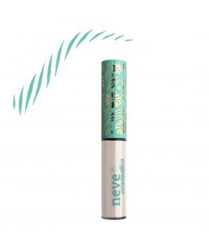 Brow Model Universal Shape