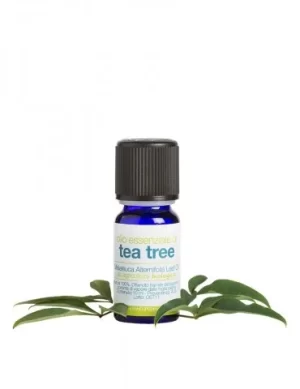 Olio essenziale tea tree bio